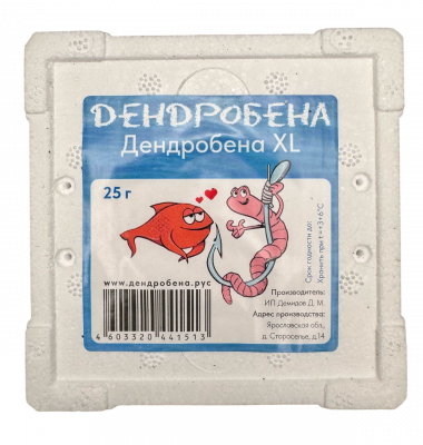Червь дендробена XL