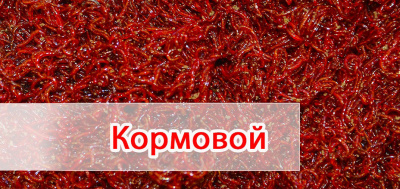 Кормовой мотыль лиман