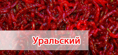 Мотыль крупный насадочный уральский